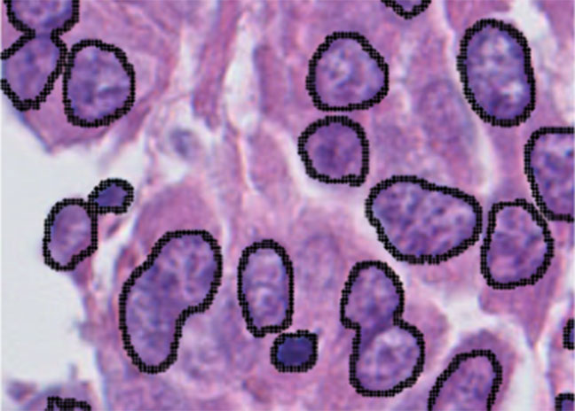 cellule sciences des donnees et donnees de la science