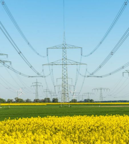photo d'un champ avec un réseau électrique