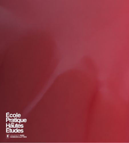 fond rouge avec logo EPHE-PSL