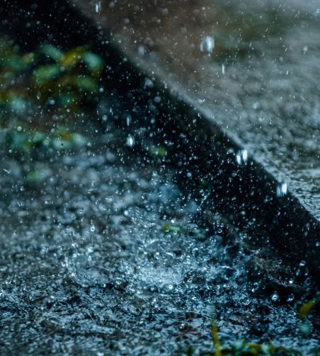 EPHE-PSL actu "chanter sous la pluie"
