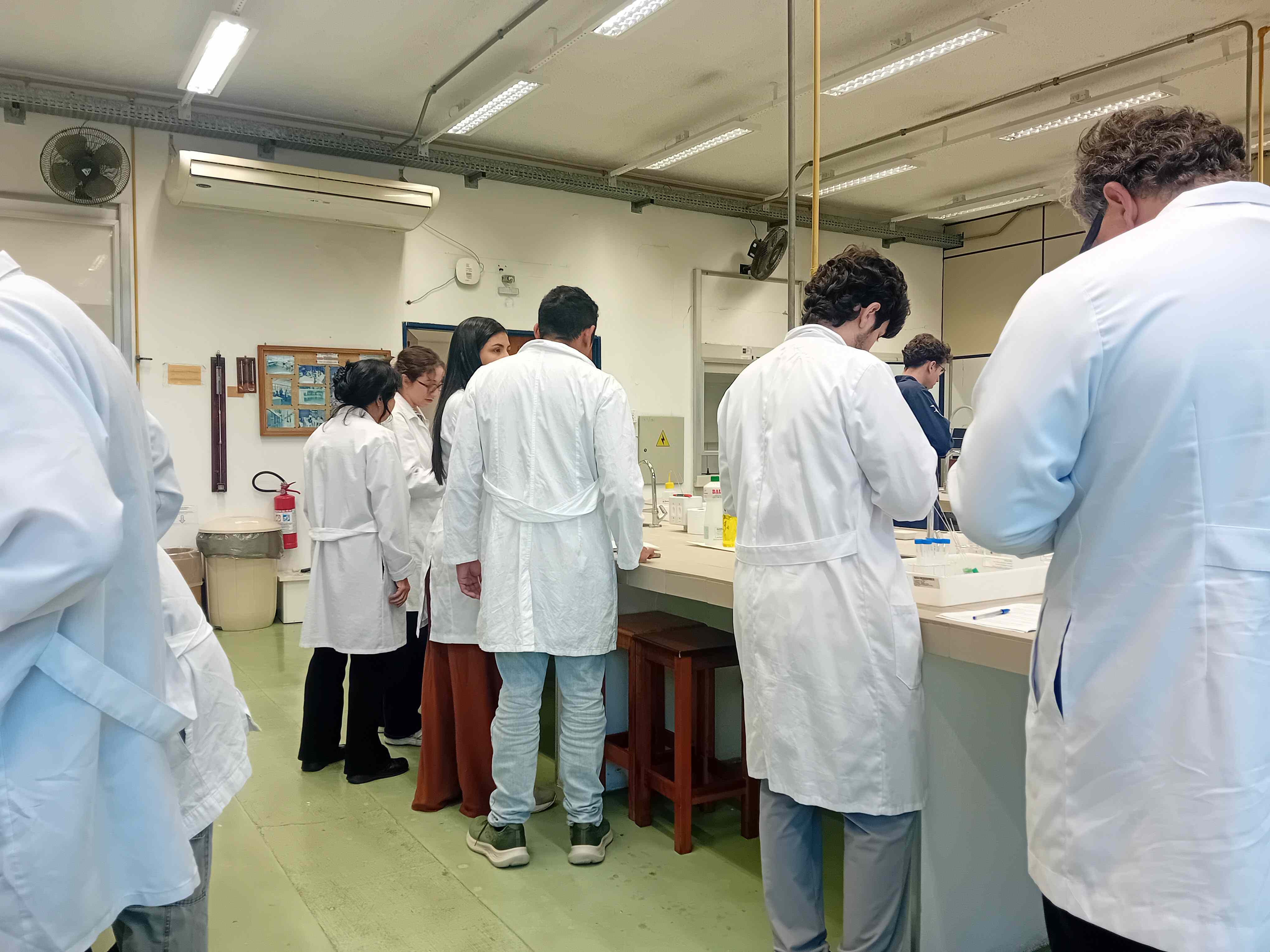 Chercheurs dans un laboratoire avec Denise Petri