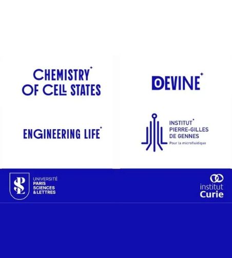 Logos de Chemistry of cell states ; d'engineering life ; de devine ; de l'institut pierre-gilles de gennes, l'Université PSL et celui de l'Institut Curie