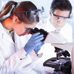 photo d'une chercheuse et d'un chercheur