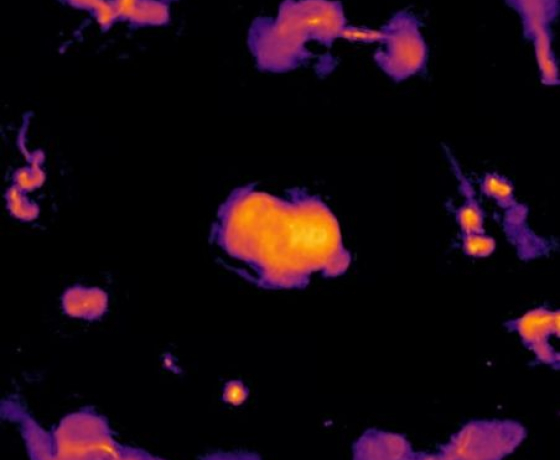 Une sélection de lobes radio alimentés par des trous noirs supermassifs. 