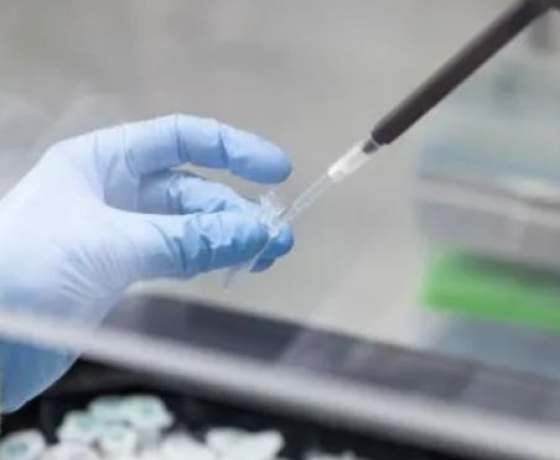 Photo d'une main de scientifique