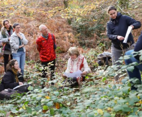 photo d'une équipe dans la fôret de la fontainebleu
