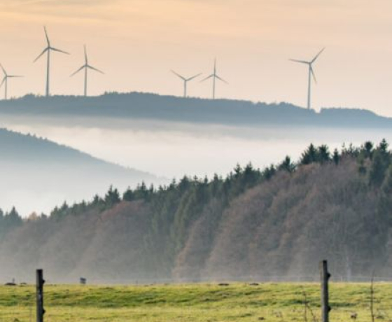 photo d'un parc éolien