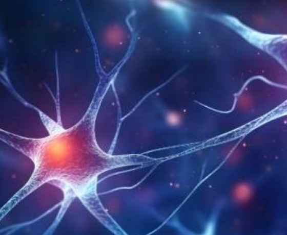 illustration symbolique 