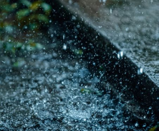 EPHE-PSL actu "chanter sous la pluie"