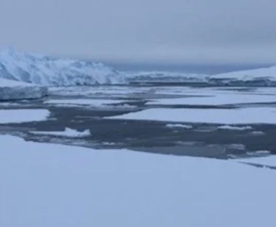 Photo prise en 2024 de vieux icebergs, emprisonnés sur de hauts fonds, encerclés par de la glace de mer, à proximité du glacier de Ninnis