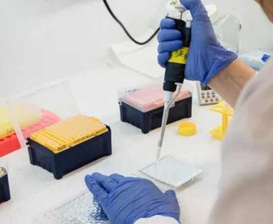 Une scientifique en blouse blanche et portant des gants bleus utilise une micropipette pour transférer des échantillons dans une plaque de laboratoire