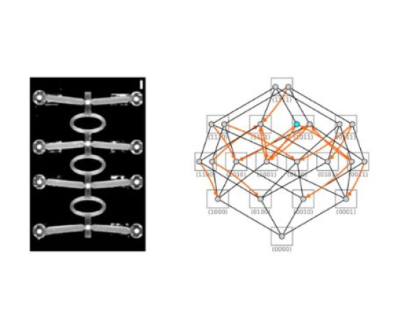 Schéma de connexionsavec des arêtes noires et des flèches orange indiquant certains parcours