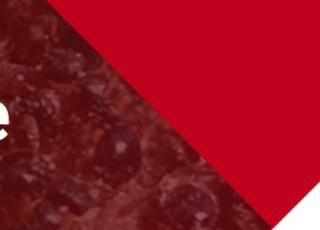 Visuel décoratif avec le logo de l'EPHE et leur charte 