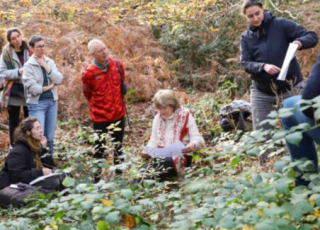 photo d'une équipe dans la fôret de la fontainebleu
