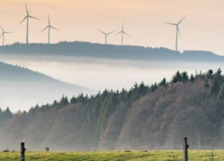 photo d'un parc éolien