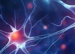 illustration symbolique 