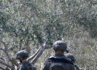 Trois militaires en foret