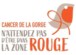 visuel officiel avec un dessin de rouge gorge