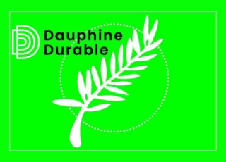 Dauphine Durable - Université Dauphine - PSL
