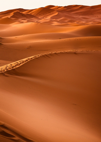 climate change and desertification
