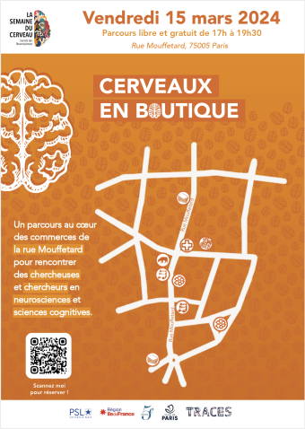 Cerveaux en boutique