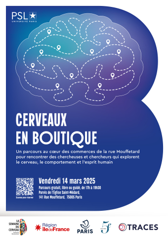 Cerveaux en Boutique