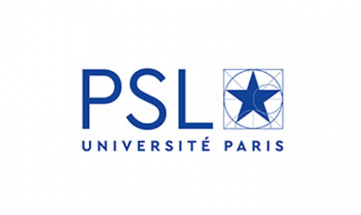 logo psl